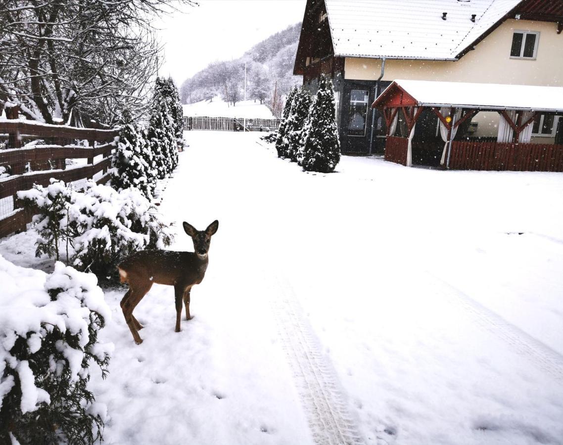 Olimpia Villa Tibod Esterno foto